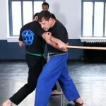 Defense against a high side stick explanation