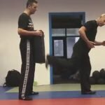 How to perform a regular back kick or uppercut kick