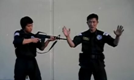 How to defend yourself against a rifle