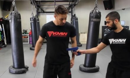 Gun from the Side Defense tutorial