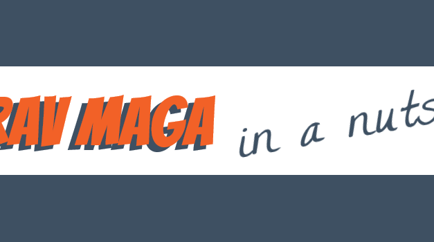 Krav Maga flow chart in a nutshell